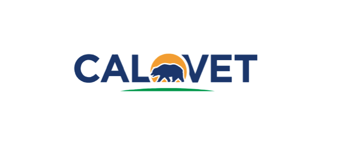 2024 CalVet Women Veterans Survey